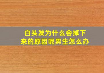 白头发为什么会掉下来的原因呢男生怎么办