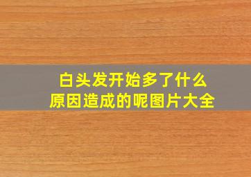 白头发开始多了什么原因造成的呢图片大全