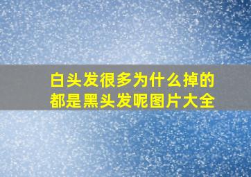 白头发很多为什么掉的都是黑头发呢图片大全