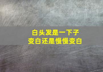 白头发是一下子变白还是慢慢变白