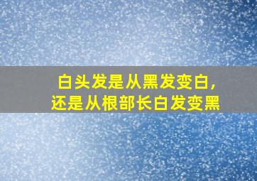 白头发是从黑发变白,还是从根部长白发变黑