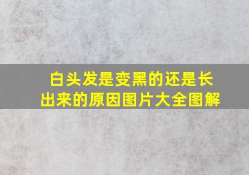 白头发是变黑的还是长出来的原因图片大全图解