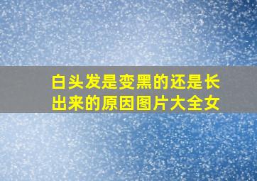 白头发是变黑的还是长出来的原因图片大全女