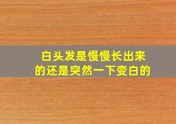 白头发是慢慢长出来的还是突然一下变白的