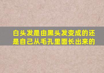 白头发是由黑头发变成的还是自己从毛孔里面长出来的