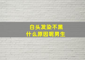 白头发染不黑什么原因呢男生