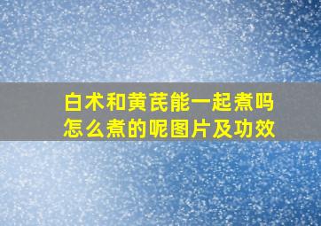 白术和黄芪能一起煮吗怎么煮的呢图片及功效