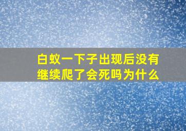 白蚁一下子出现后没有继续爬了会死吗为什么