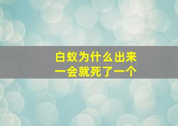 白蚁为什么出来一会就死了一个