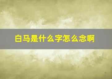 白马是什么字怎么念啊