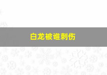 白龙被谁刺伤