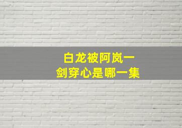 白龙被阿岚一剑穿心是哪一集