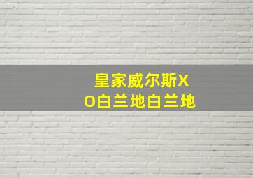 皇家威尔斯XO白兰地白兰地