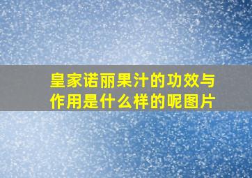 皇家诺丽果汁的功效与作用是什么样的呢图片