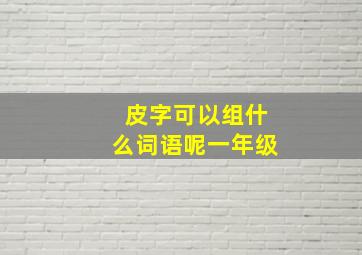 皮字可以组什么词语呢一年级