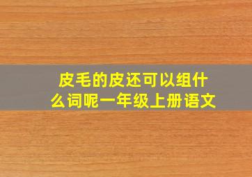 皮毛的皮还可以组什么词呢一年级上册语文