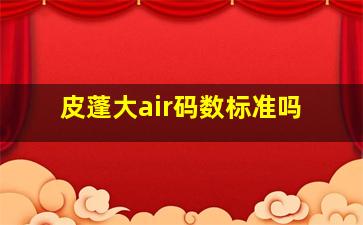 皮蓬大air码数标准吗