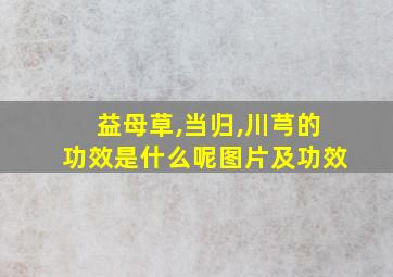 益母草,当归,川芎的功效是什么呢图片及功效