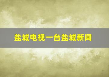 盐城电视一台盐城新闻