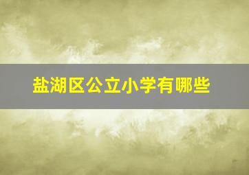 盐湖区公立小学有哪些