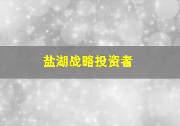 盐湖战略投资者