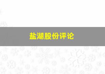 盐湖股份评论