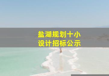 盐湖规划十小设计招标公示