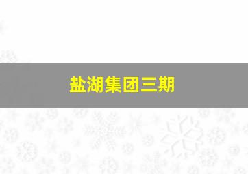 盐湖集团三期