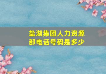 盐湖集团人力资源部电话号码是多少