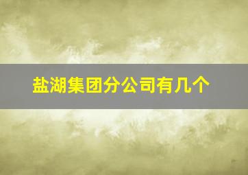 盐湖集团分公司有几个