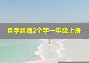 目字组词2个字一年级上册