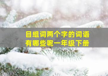 目组词两个字的词语有哪些呢一年级下册