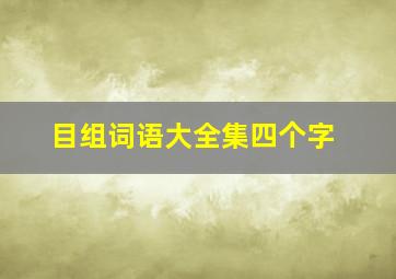 目组词语大全集四个字