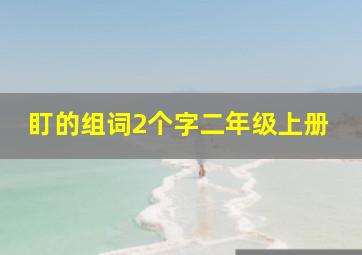 盯的组词2个字二年级上册