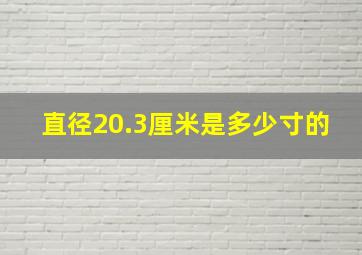 直径20.3厘米是多少寸的