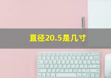 直径20.5是几寸