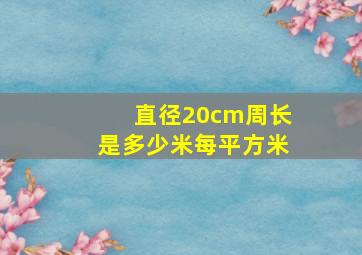 直径20cm周长是多少米每平方米