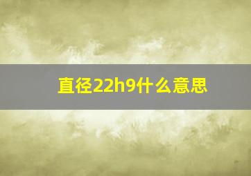 直径22h9什么意思