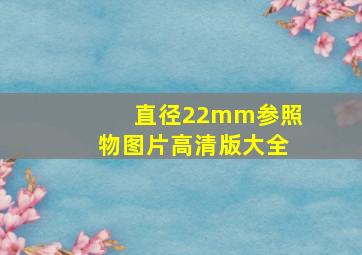 直径22mm参照物图片高清版大全