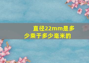 直径22mm是多少乘于多少毫米的