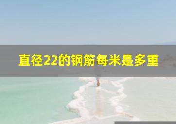 直径22的钢筋每米是多重