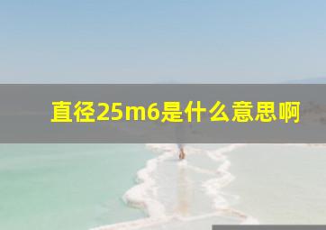 直径25m6是什么意思啊