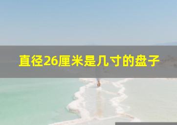 直径26厘米是几寸的盘子