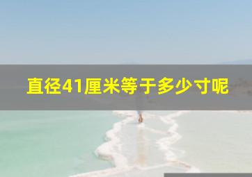 直径41厘米等于多少寸呢