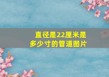 直径是22厘米是多少寸的管道图片