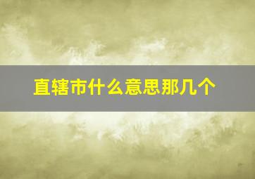 直辖市什么意思那几个