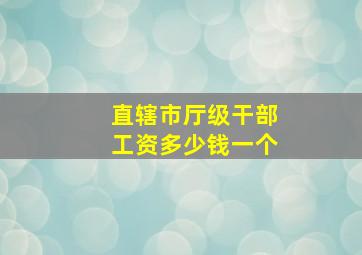 直辖市厅级干部工资多少钱一个