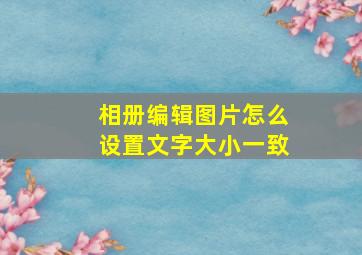 相册编辑图片怎么设置文字大小一致