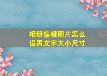 相册编辑图片怎么设置文字大小尺寸