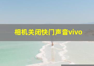 相机关闭快门声音vivo